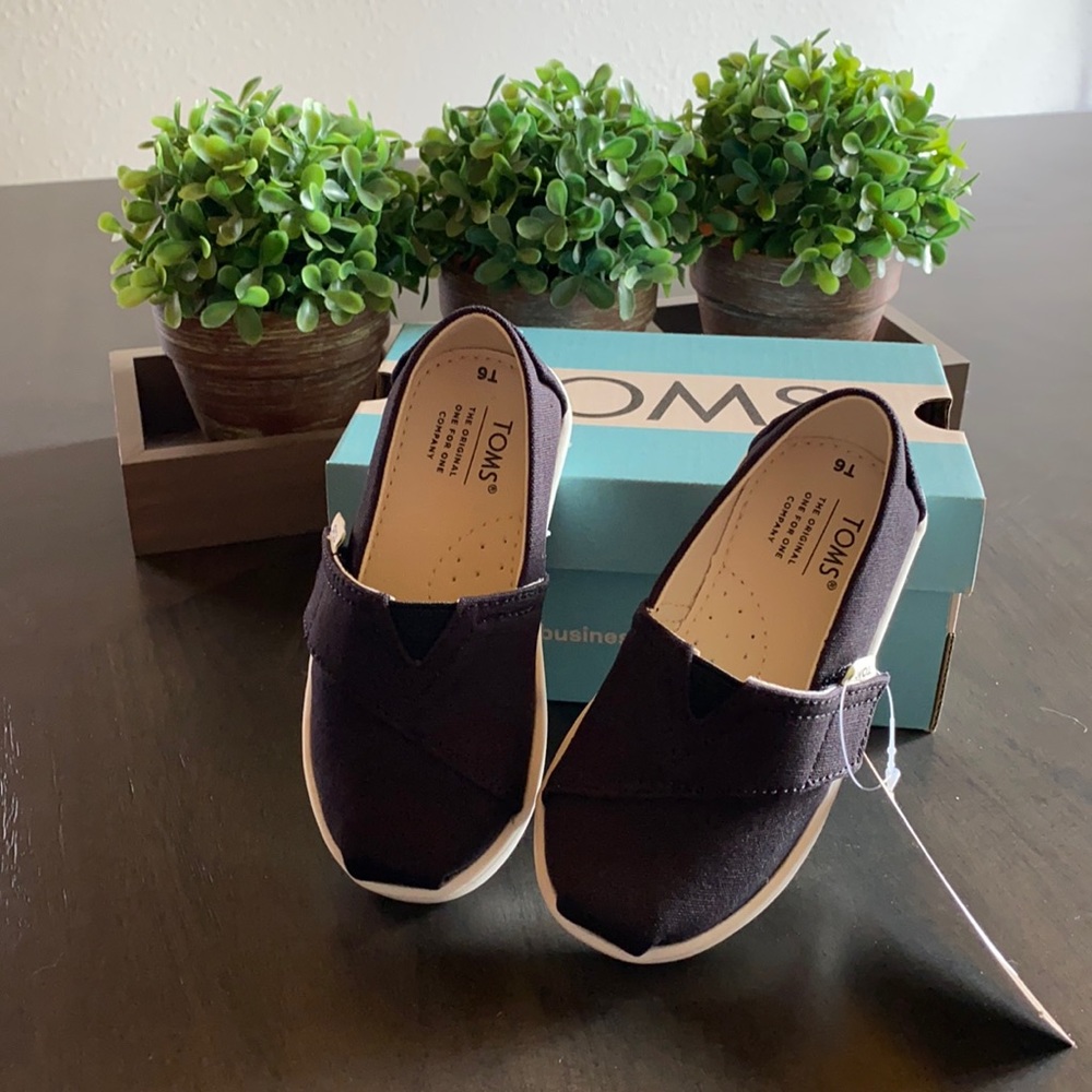 NIB Tiny Toms (toddler) Belmont Black Canvas 6